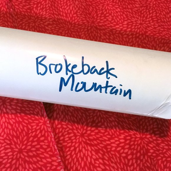 Brokeback Mountain Movie Poster Cowboy 🎥 👀 🎞️ - Picture 8 of 13